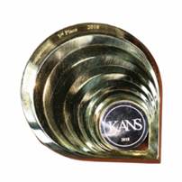 award icon