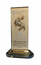 award icon