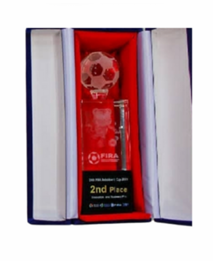 award icon