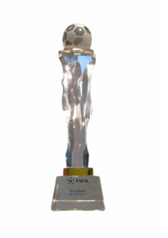 award icon